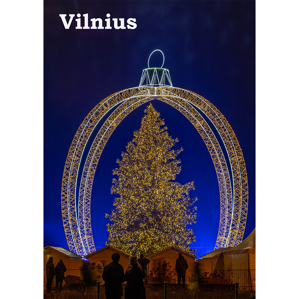 Vilnius Christmas Tree, 2024