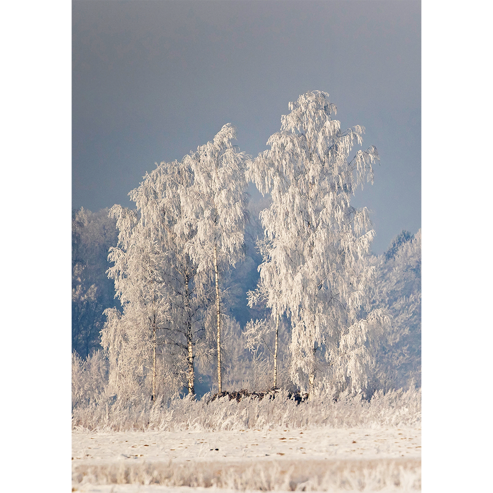 Winter in Lithuania