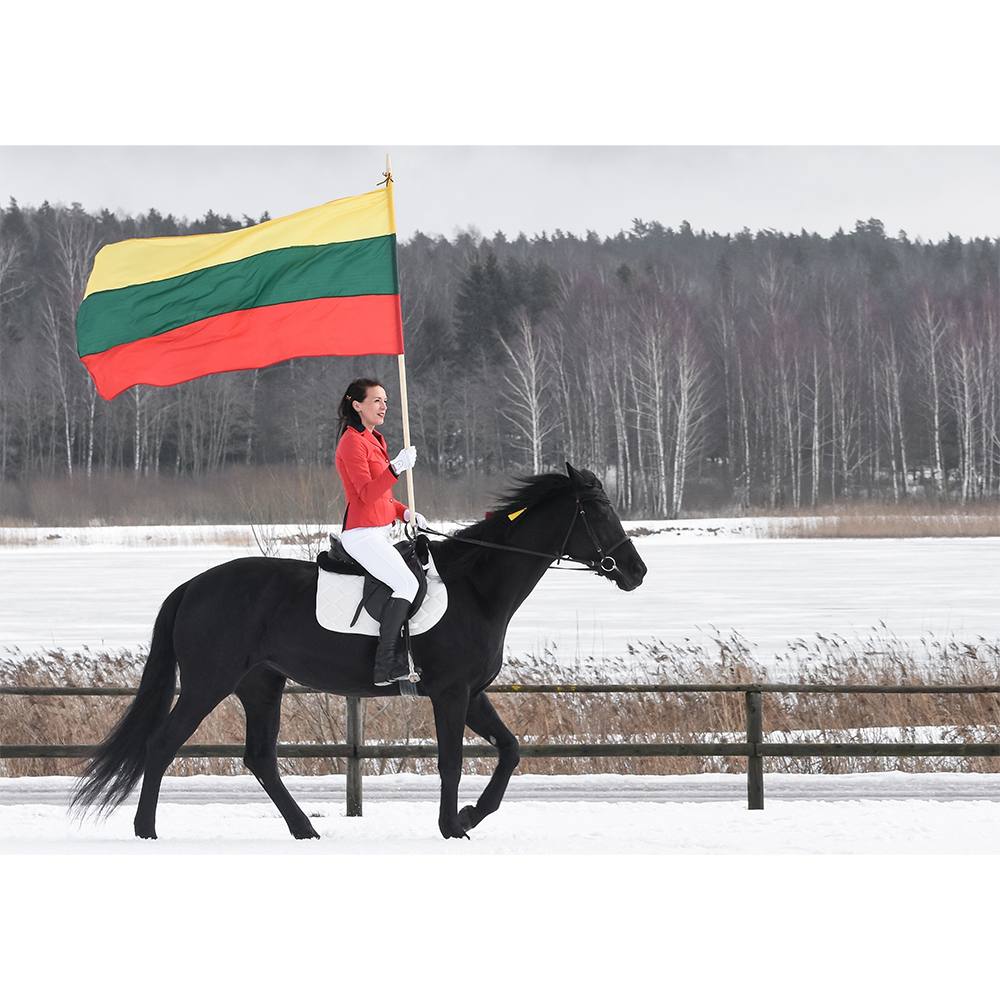 Lithuanian Rider's Triumph