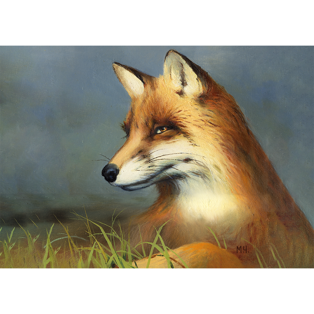 A Fox