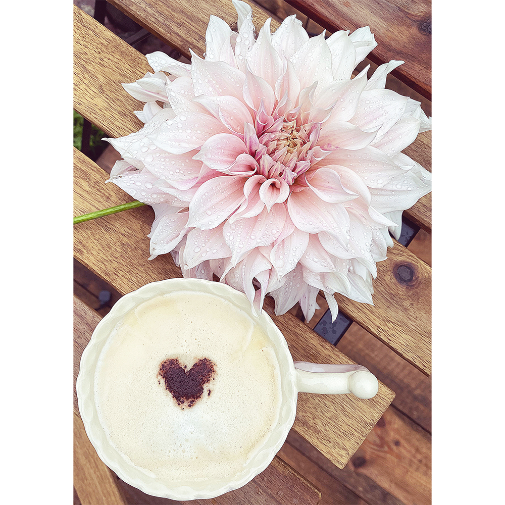 Coffee and Pink Dahlias