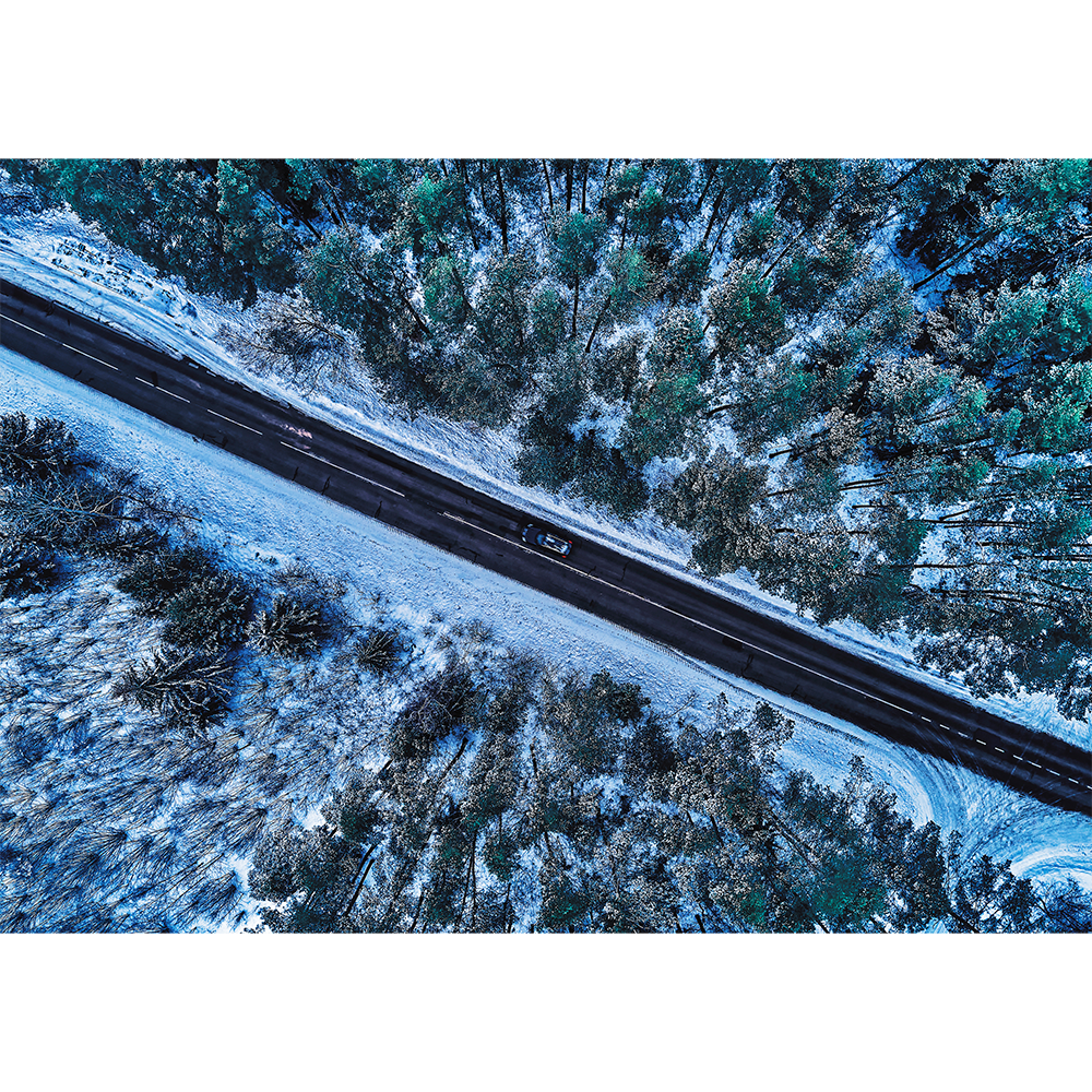 Forest From Above