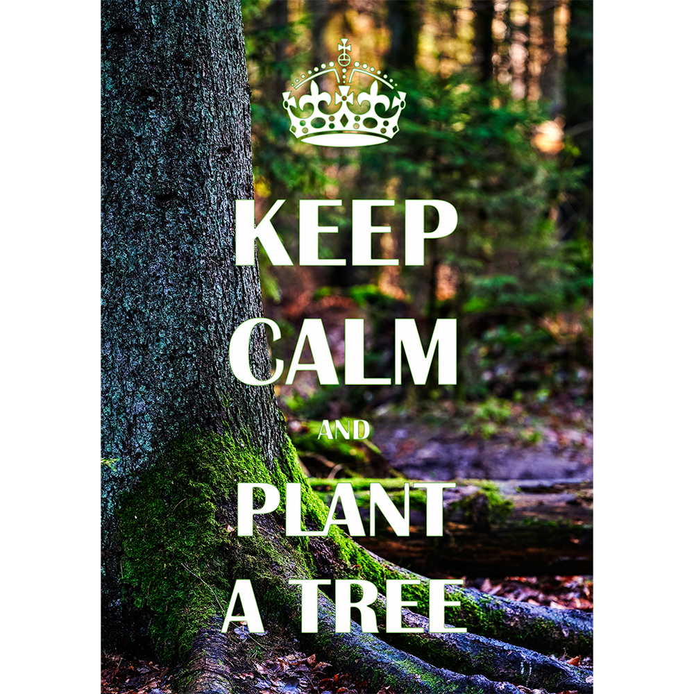 Keep Calm. Tree