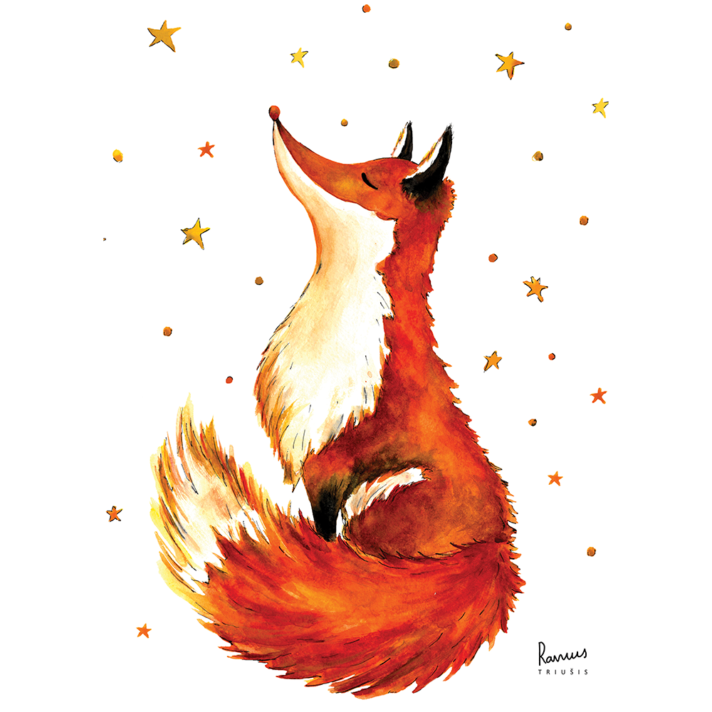The Fox and the Stars