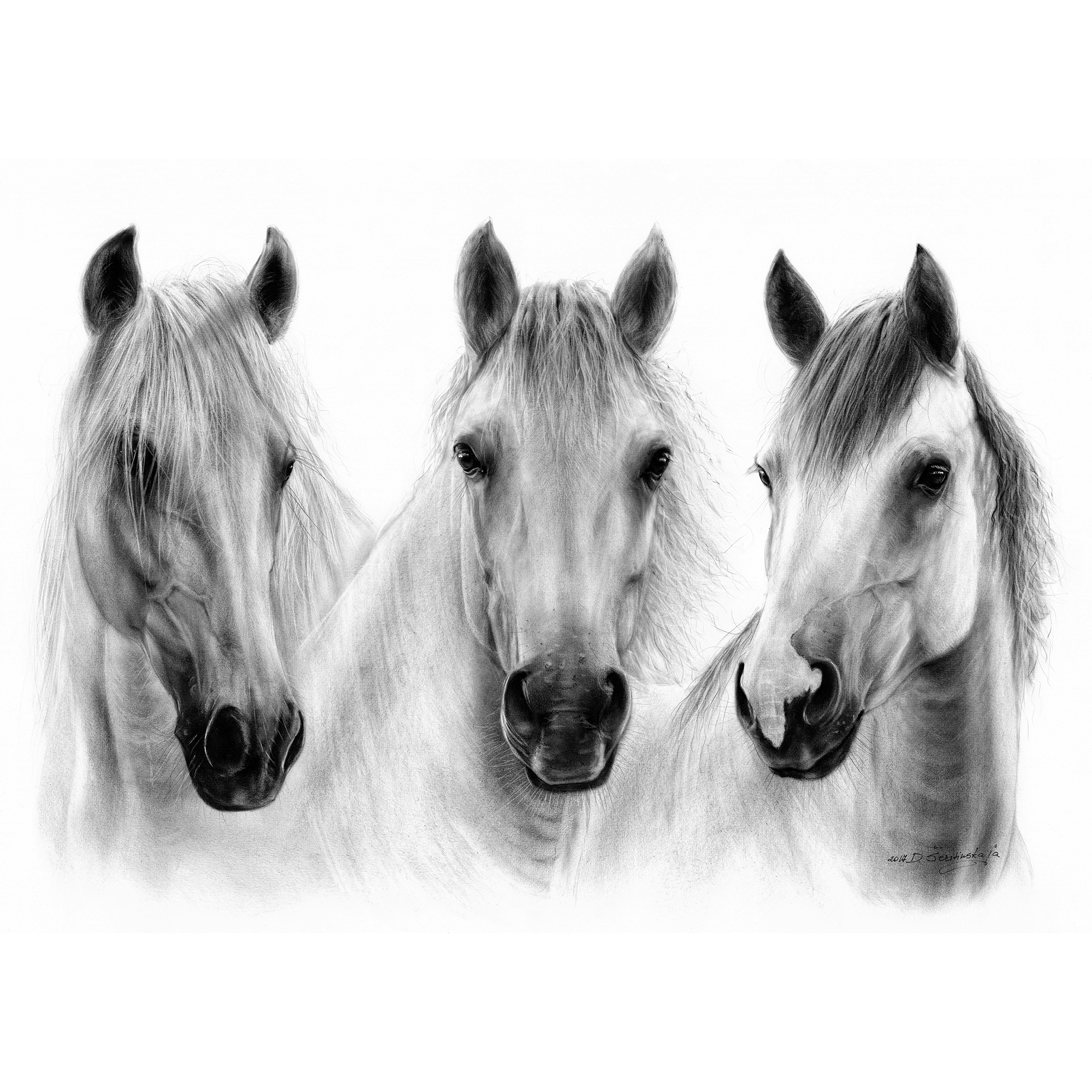 Three Beautiful Horses