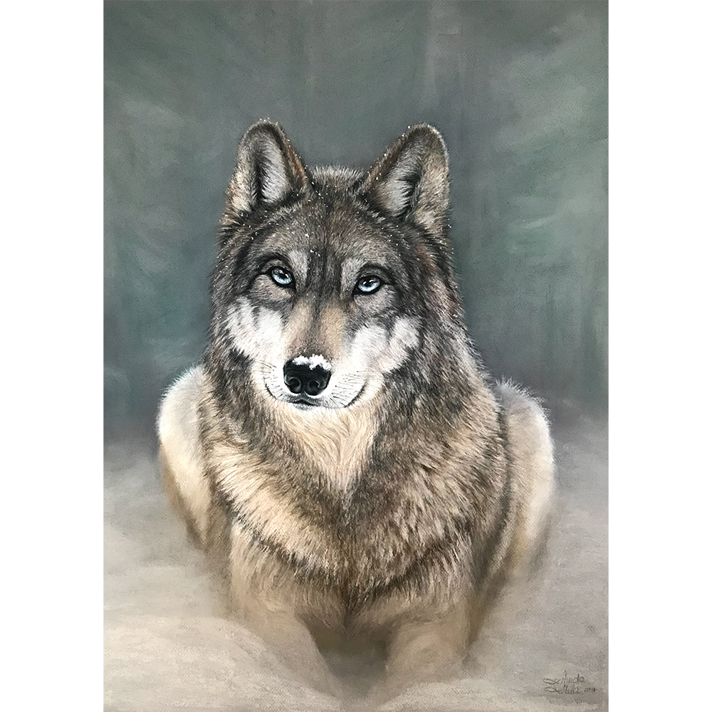 Wolf Portrait